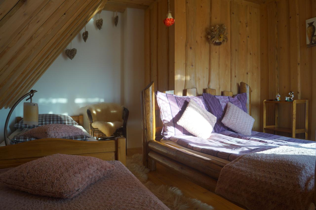 Apartamenty I Pokoje Rodzinne Czarna Góra エクステリア 写真